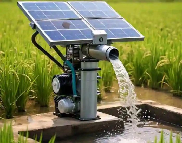 WhatsApp Image 2025-01-27 at 08.29.09 (1)